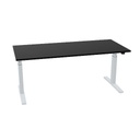 180x80cm (single bureau) (Bladdecor: Zwart | Pootkleur : Zilver)