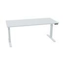 180x80cm (single bureau) (Bladdecor: Grijs | Pootkleur : Zilver)