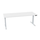 200x80cm (single bureau) (Bladdecor: Wit | Pootkleur : Zilver)